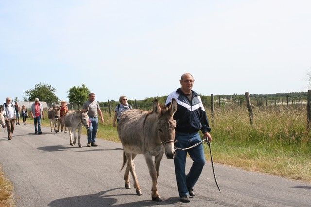 2015-07-06 rando anes (26).JPG